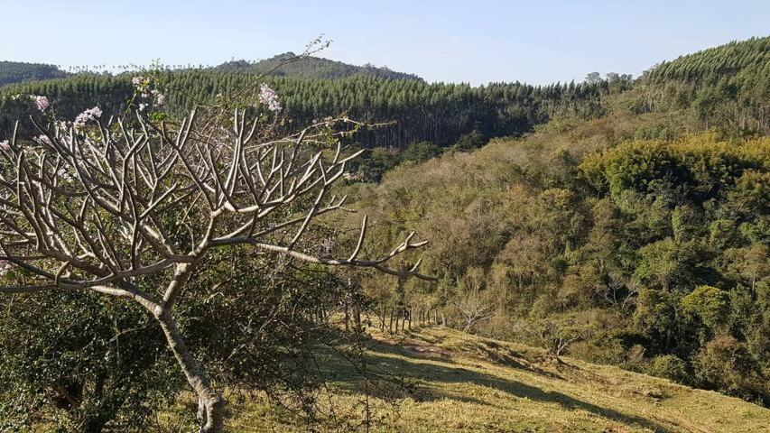 Sítio Alvorada - Paraíso localizado no Circuito das Águas Paulista Amparo (Sao Paulo) Exterior foto